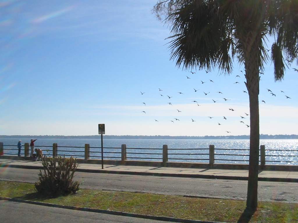 Battery Waterfront
